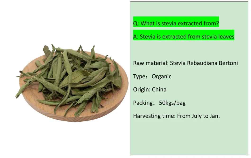 Natural Sweeteners Bulk Powder Stevia Extract in Bulk Ra 98% Stevia